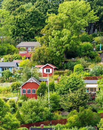 Södra Tantolunden allotment gardens: stay on the communal visitor path outside the fenced plots. Look at the small cottages and planting from the path; do not enter a private plot or garden.