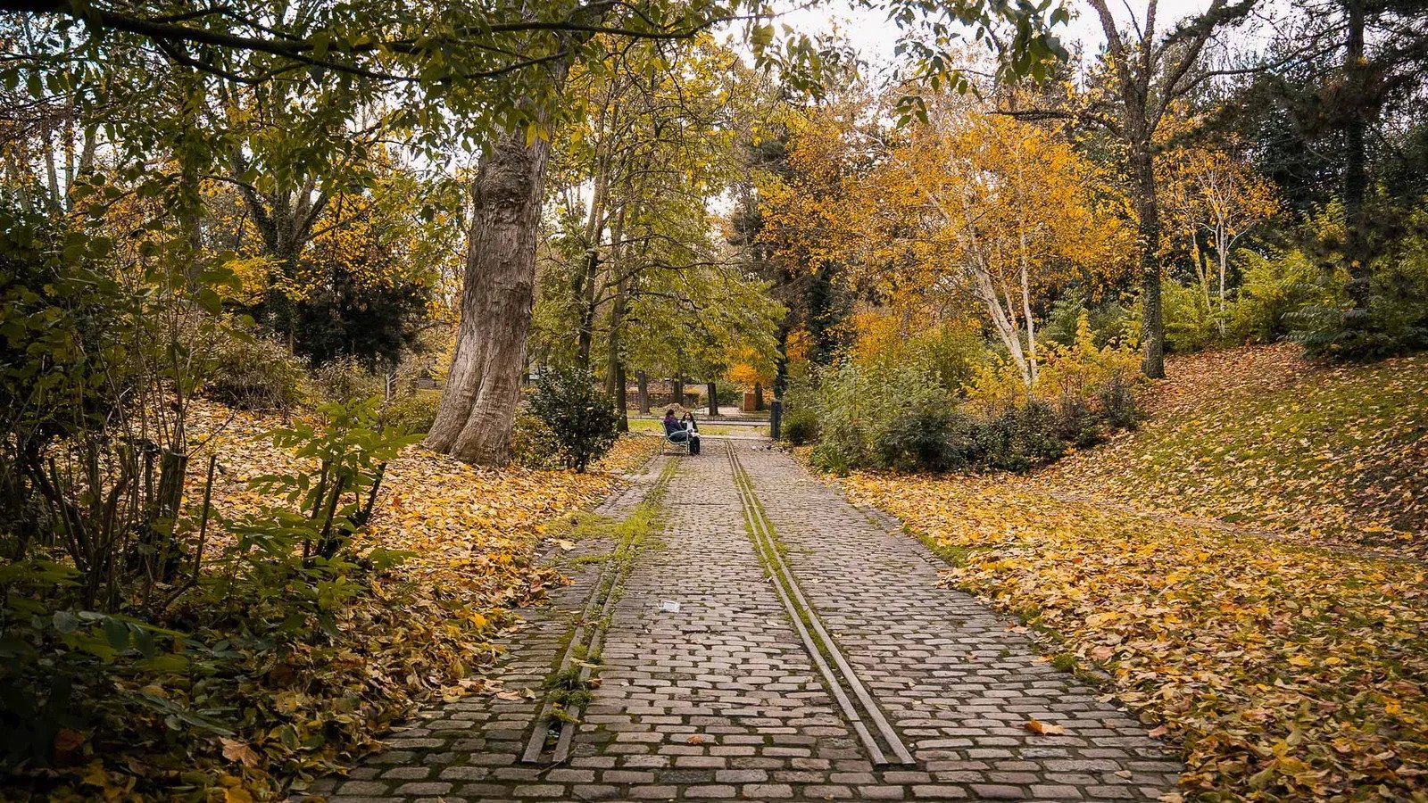 Public paved path immediately outside the Maison du Jardinage in Parc de Bercy, 75012 Paris. Look for the rails retained in the paving; no building entry.