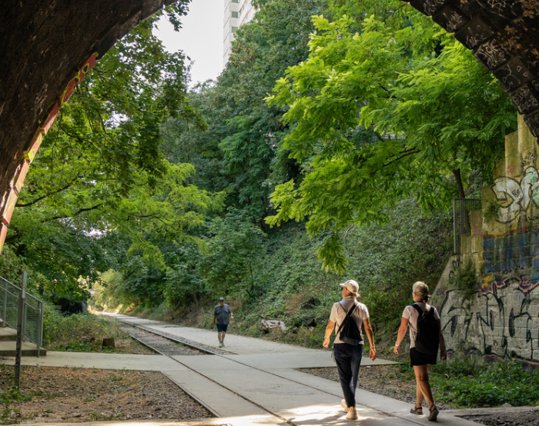 Official Petite Ceinture promenade in the 15th arrondissement, accessed by the signed entrance opposite 99 rue Olivier-de-Serres, 75015 Paris.