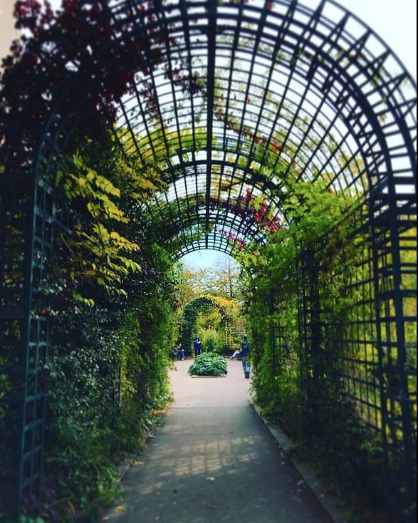 Elevated Coulée verte path near 139 avenue Daumesnil, west of rue de Charenton, 75012 Paris. Stop on the public path above street level.