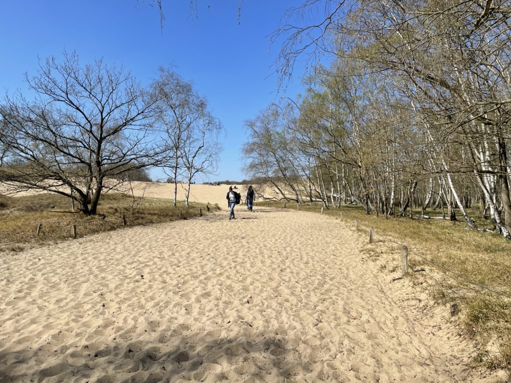 Marked public walking route by the Boberger Dünenhaus, Boberger Furt 50, leading to the signed dune-viewing path.