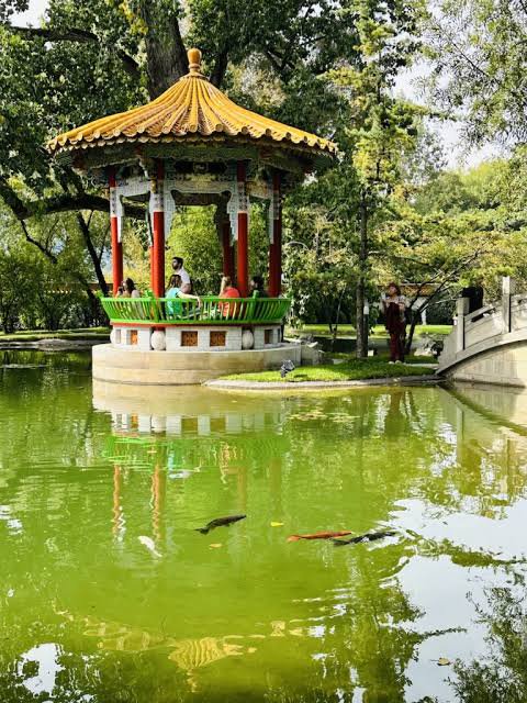 Public visitor path inside the Chinese Garden at Bellerivestrasse 138, facing a pavilion and pond.